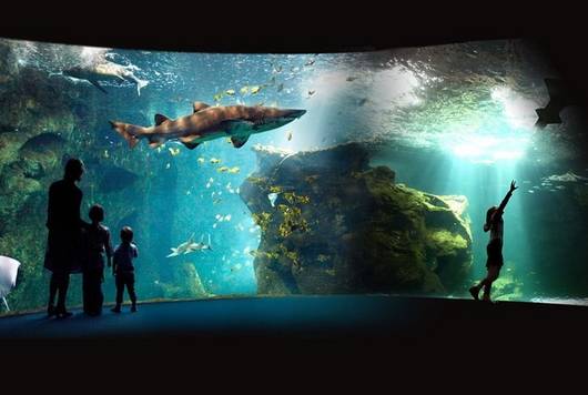 Aquarium de la Rochelle - face au Vieux Port : visitez le cœur des océans, plus de 12 000 animaux marins
