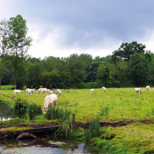 Car-Free Nature Getaway