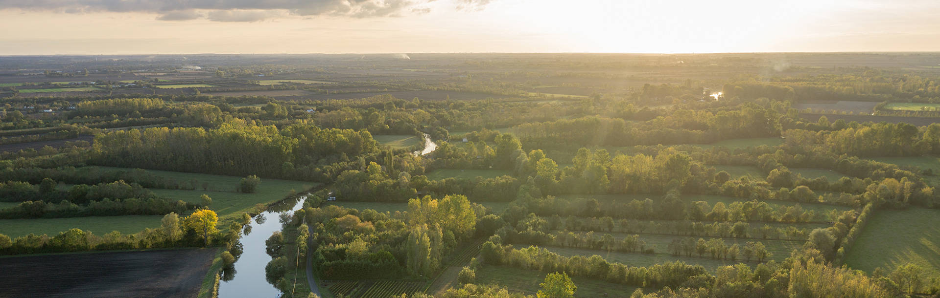 Vue aérienne du quadrillage des frênes du marais mouillé dans le Marais poitevin