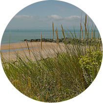 Surf between  the beach and the nature