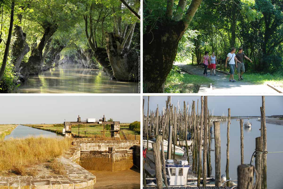 Visiter le Marais poitevin