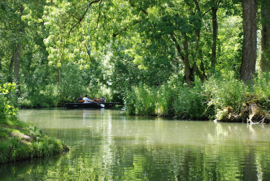 Promenade en barque dans le Marais poitevin