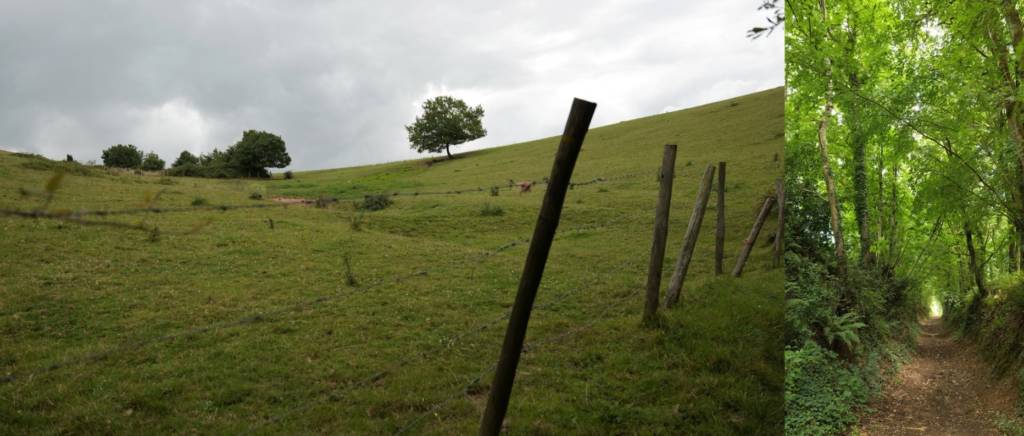 Paysage traversé par le sentier Marmande.