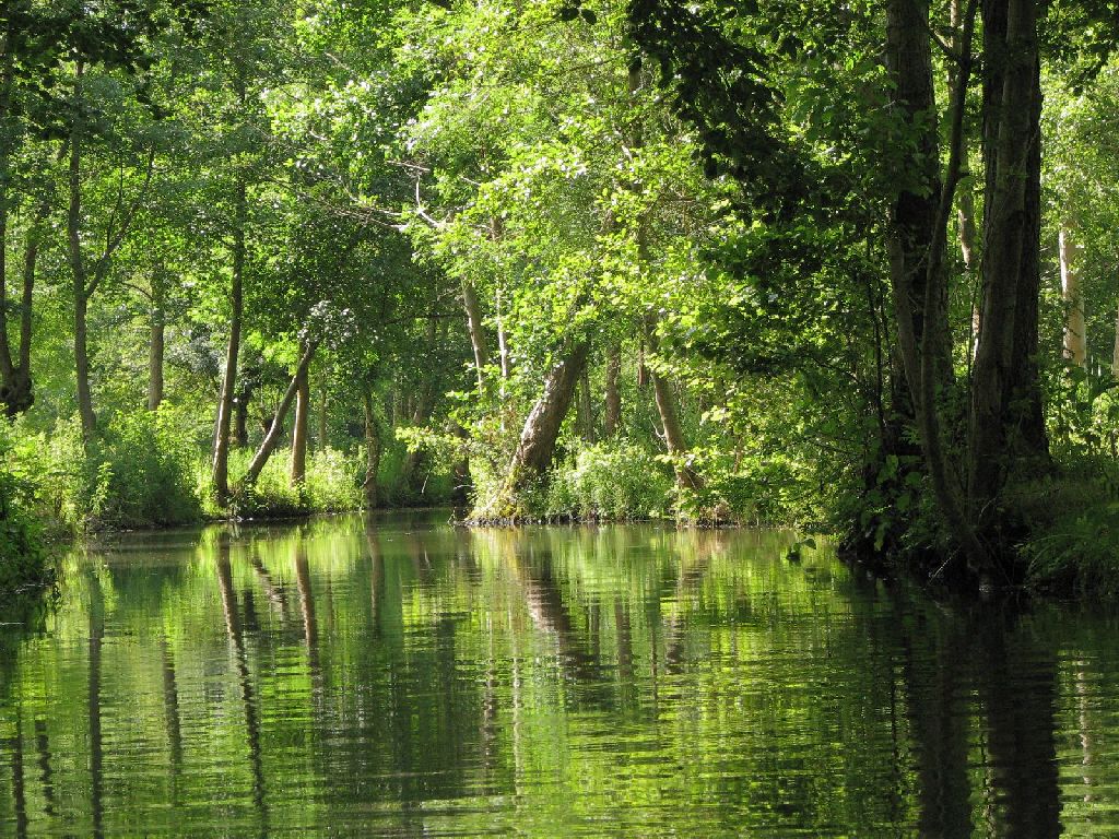 Les Marais mouillés, l'un des paysages du Parc naturel régional du Marais poitevin