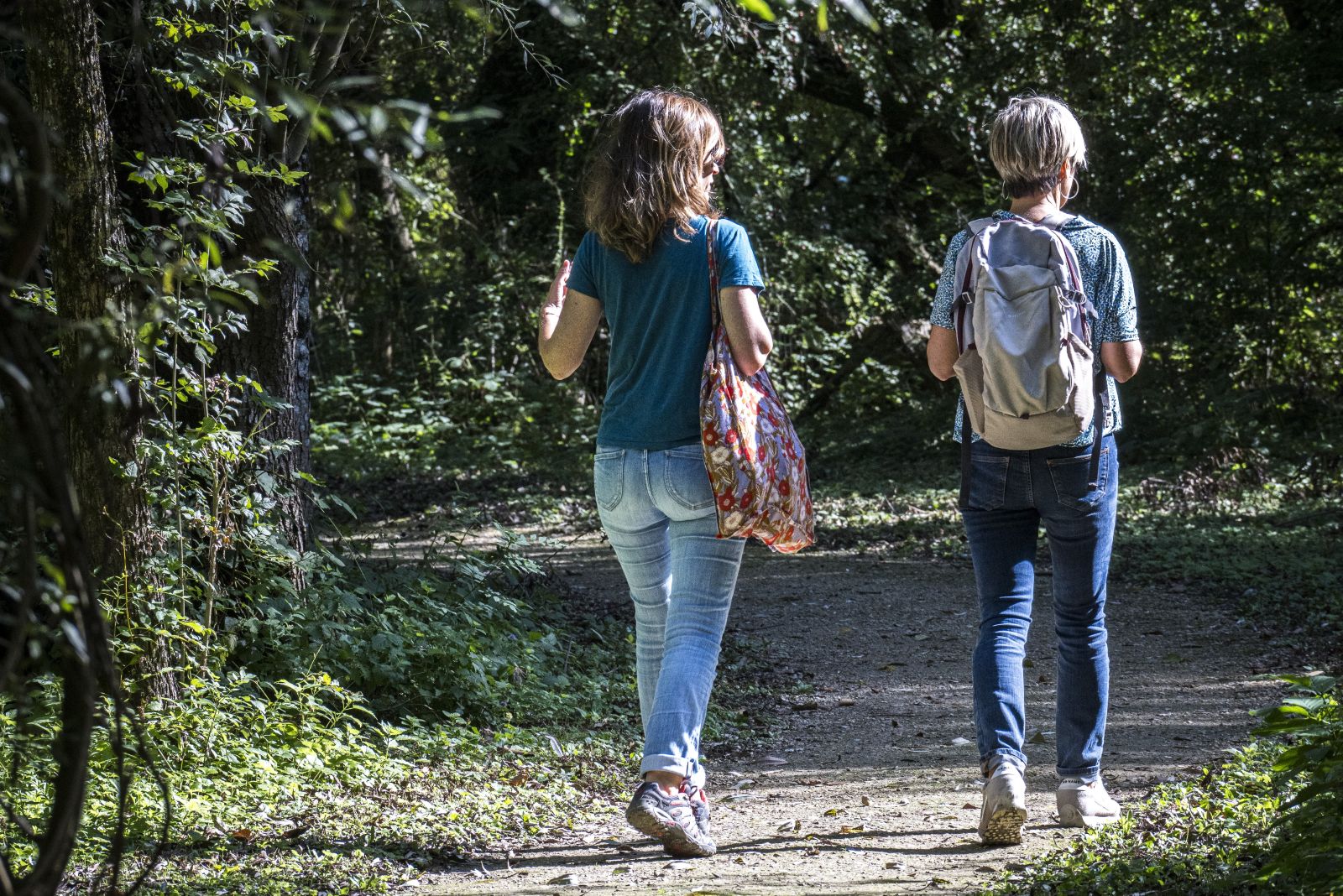 On the trails of the Marsh