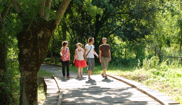 Groupe de randonneurs dans les marais mouillés.