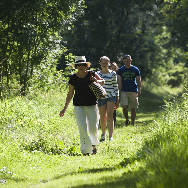 Marcheurs à pied sur les sentiers de randonnée pédestre du Marais poitevin