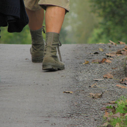 On the trails<br>of the Marsh