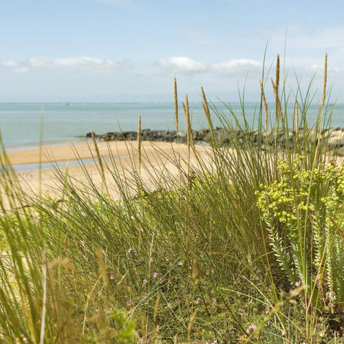 Surfez entre <br> plage et nature